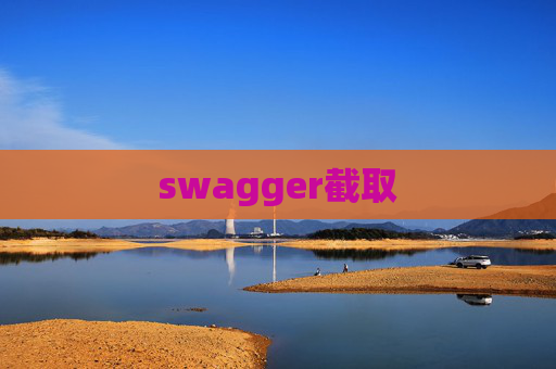 swagger截取